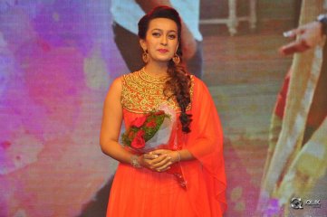 Juliet Lover of Idiot Movie Audio Launch